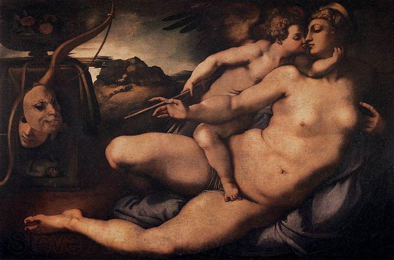 Jacopo Pontormo Venus and Cupid Spain oil painting art